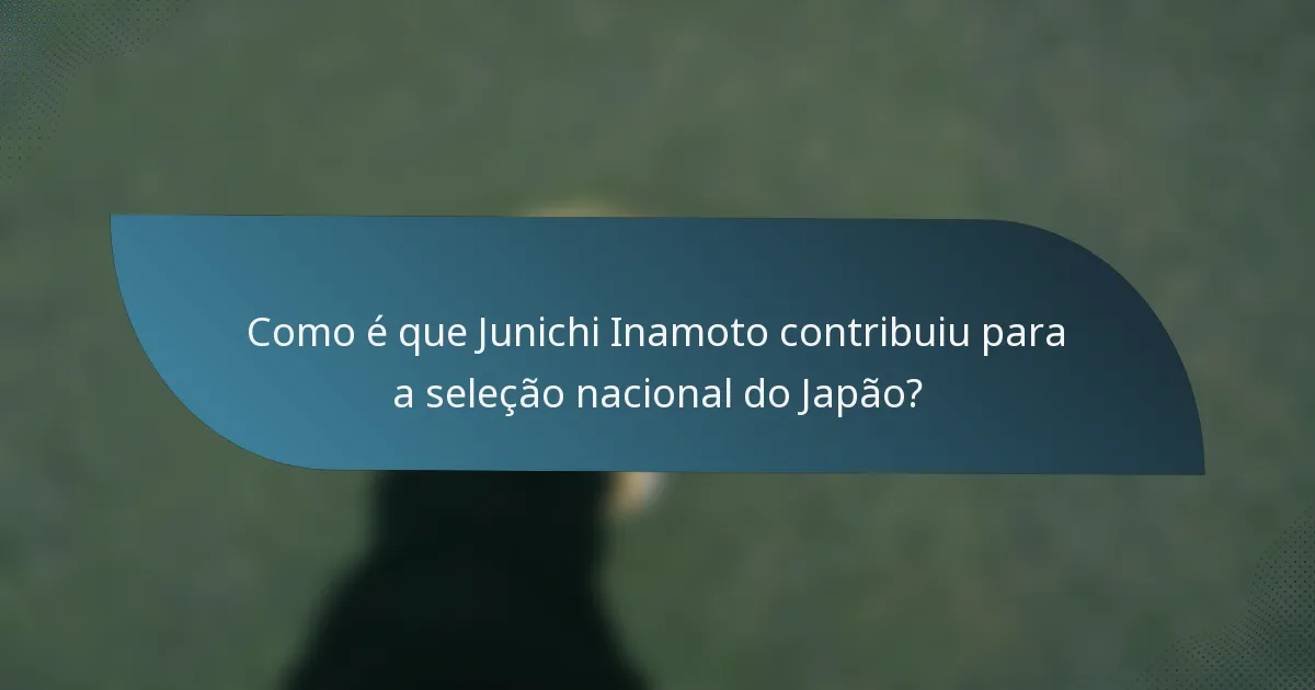 Como é que Junichi Inamoto contribuiu para a seleção nacional do Japão?