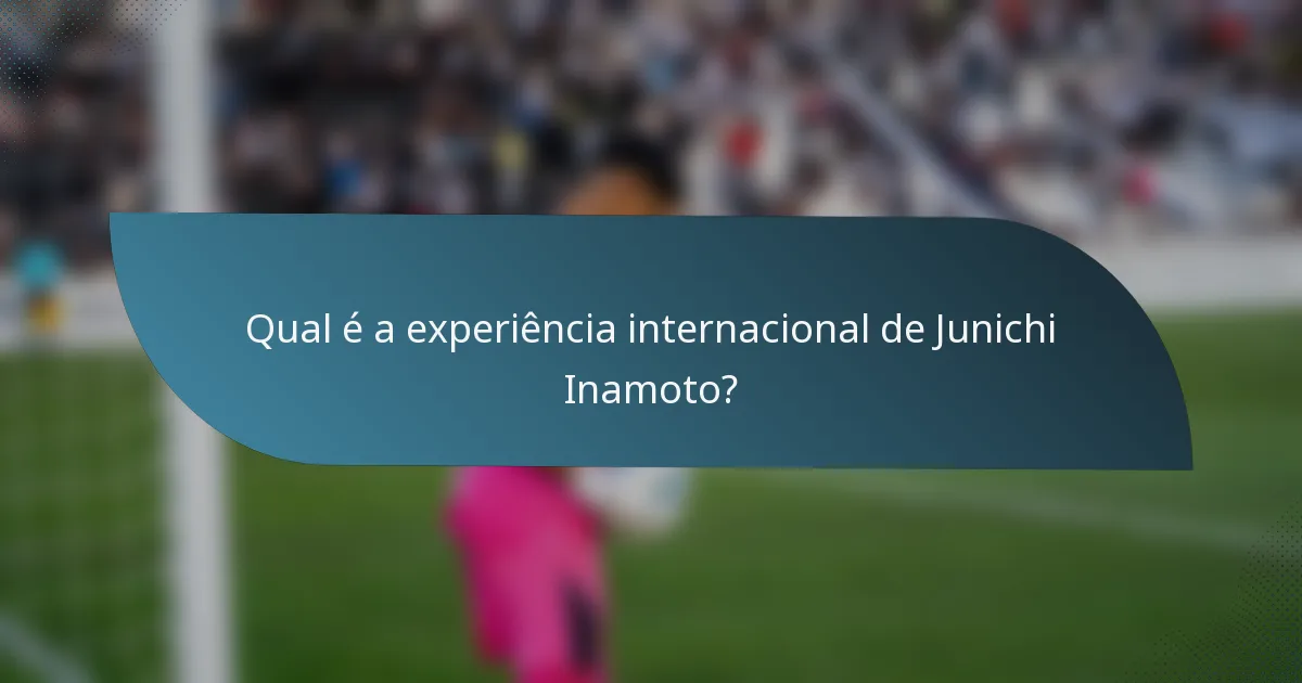 Qual é a experiência internacional de Junichi Inamoto?